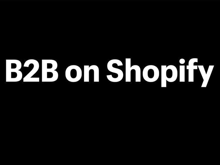 ¿Es Shopify una opción viable para eCommerce B2B complejo?