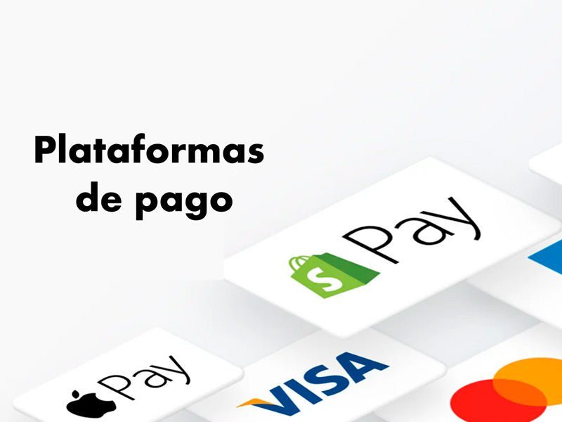 Plataformas de Pago en Internet