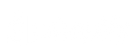 Shopify_white_bgTransparent